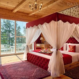 Deventure Shimla Hills